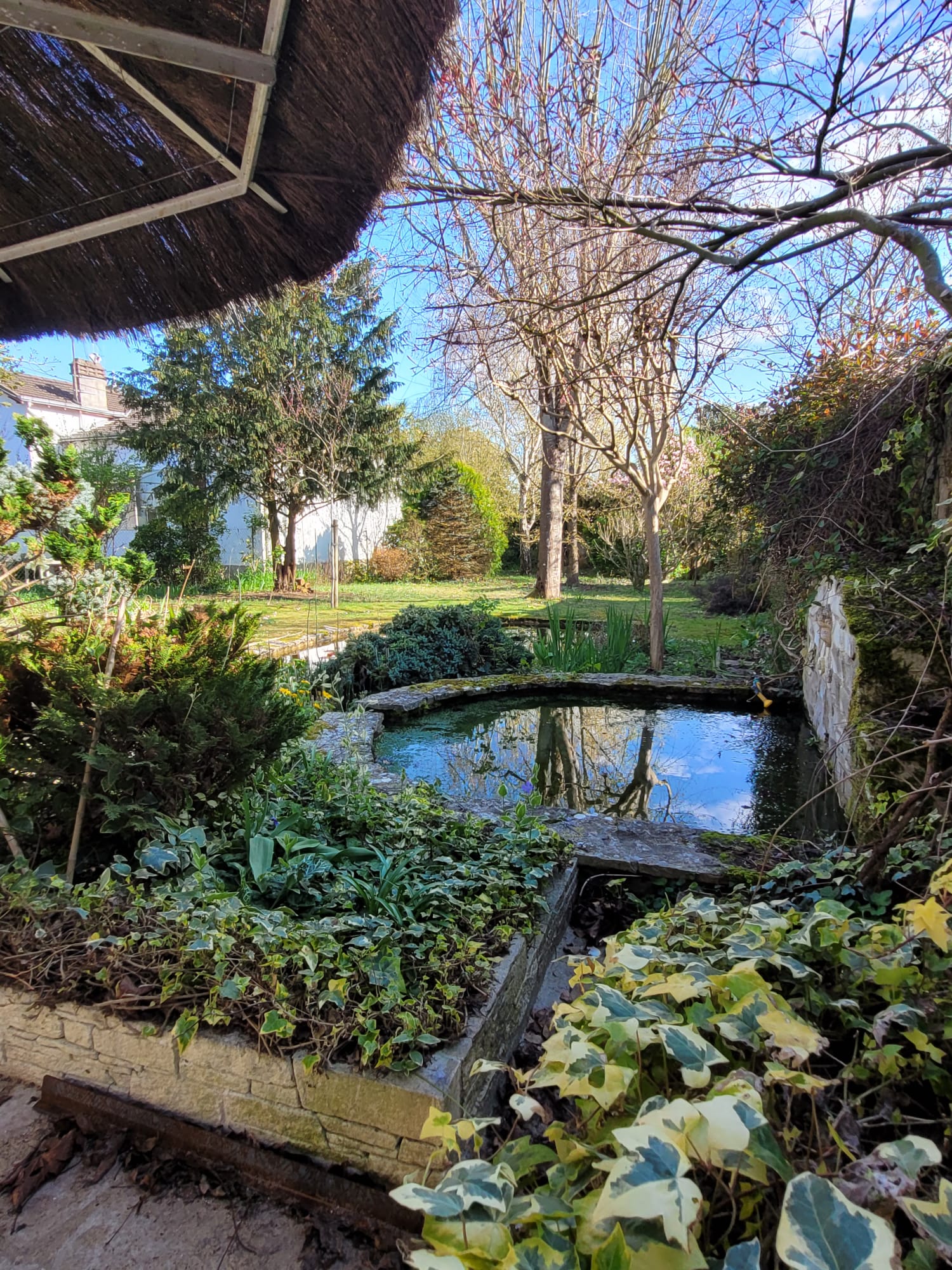 Étang dans le jardin